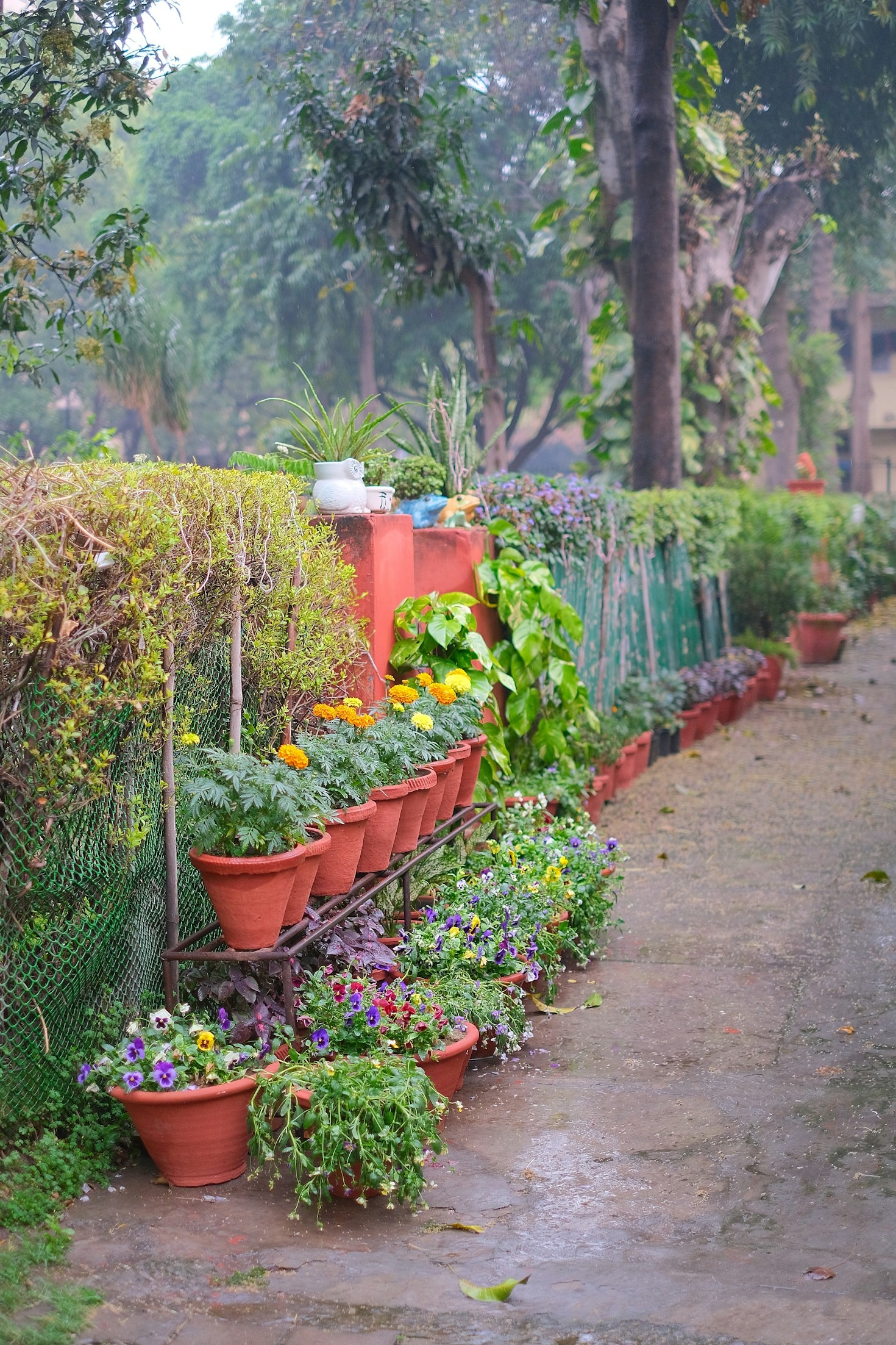 Preparing Your Plot for the Changing Seasons